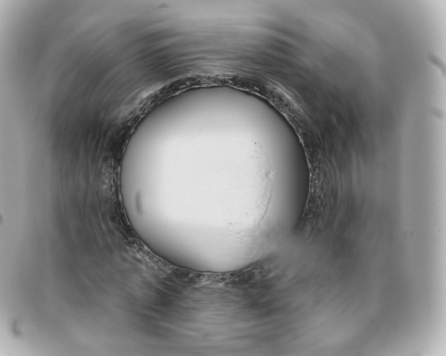 X0000095900773200802011127