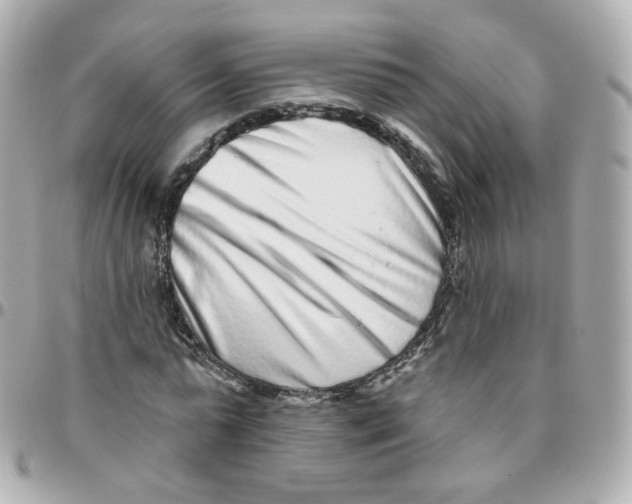 X0000095900775200802011127