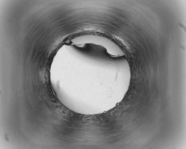 X0000095900776200802011127