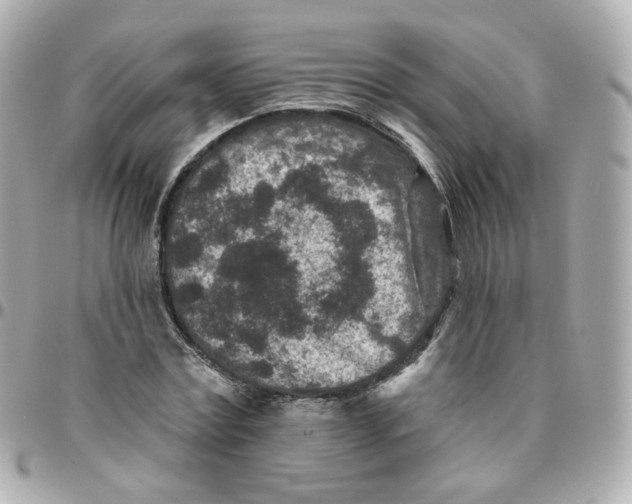 X0000095900779200802011127