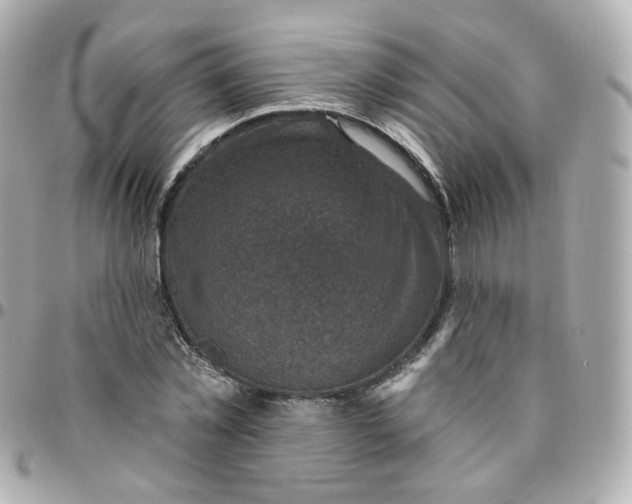 X0000095900781200802011127