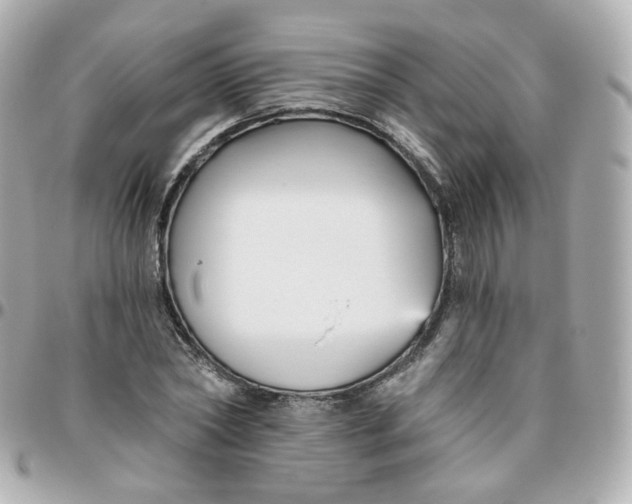 X0000095900782200802011127