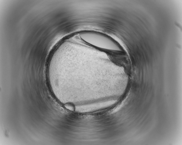 X0000095900783200802011127