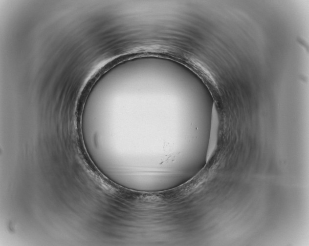 X0000095900784200802011127