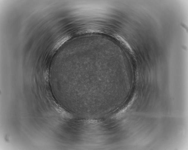 X0000095900785200802011127