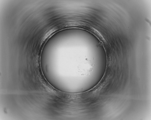 X0000095900786200802011127