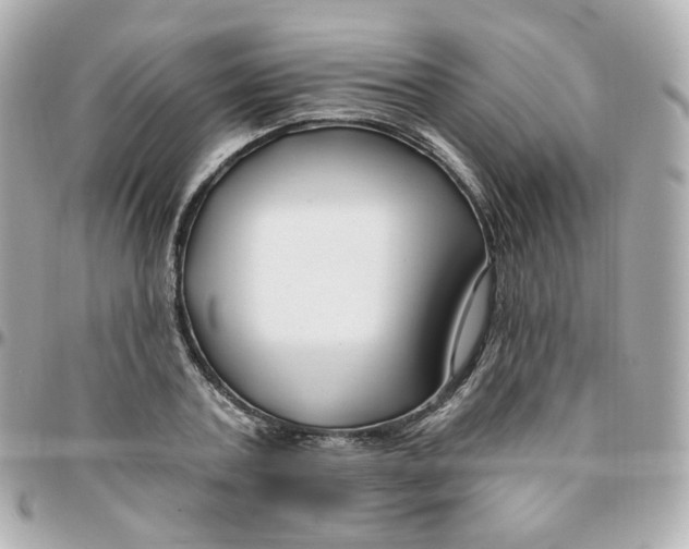 X0000095900787200802011127