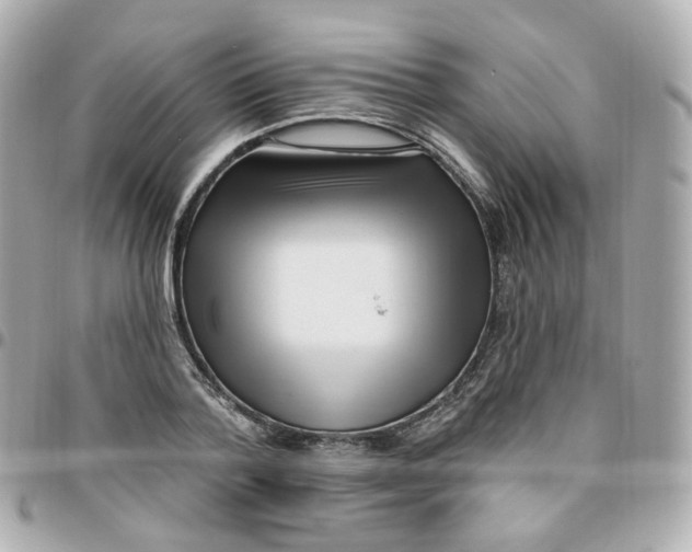 X0000095900788200802011127