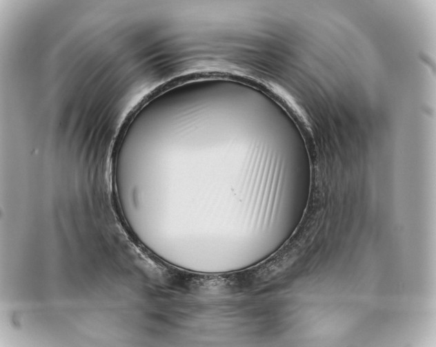 X0000095900791200802011127