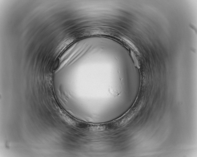 X0000095900793200802011127