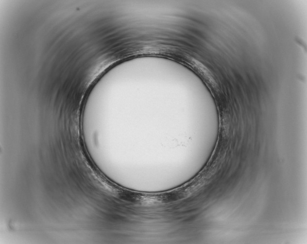 X0000095900794200802011127