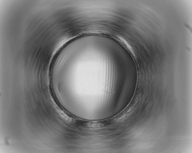 X0000095900795200802011127