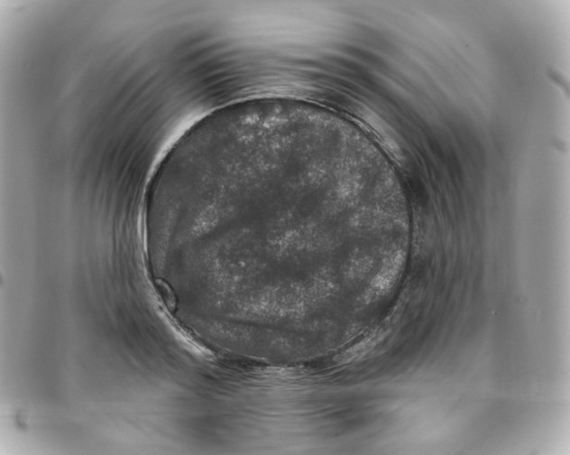 X0000095900796200802011127