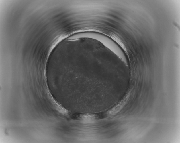 X0000095900797200802011127