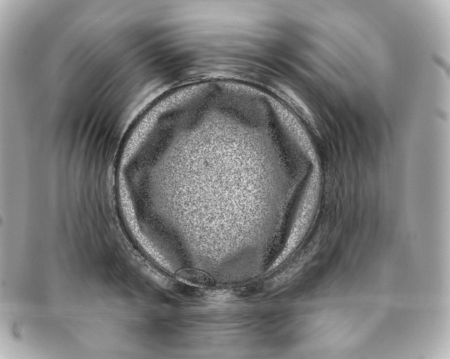 X0000095900798200802011127