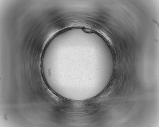 X0000095900799200802011127