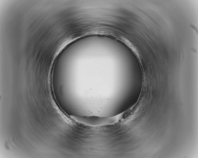 X0000095900803200802011127