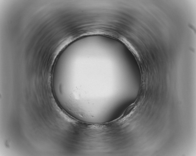 X0000095900805200802011127