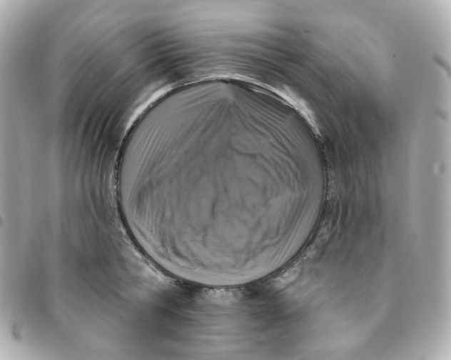 X0000095900806200802011127