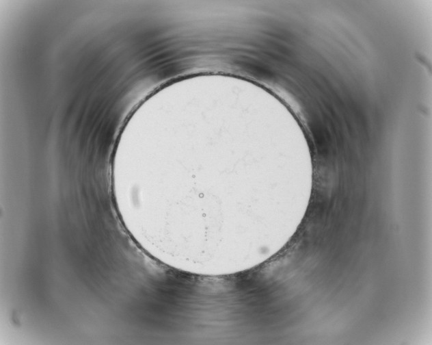 X0000095900807200802011127