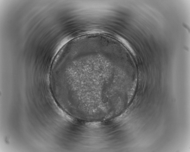 X0000095900810200802011127