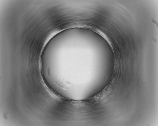 X0000095900811200802011127