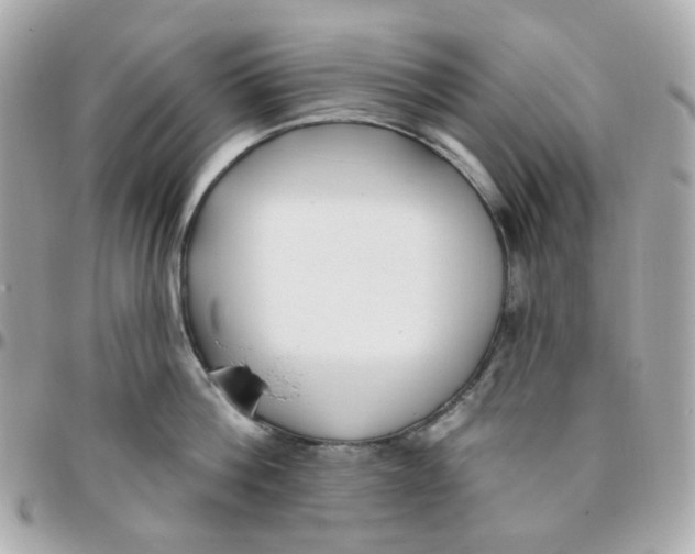 X0000095900812200802011127