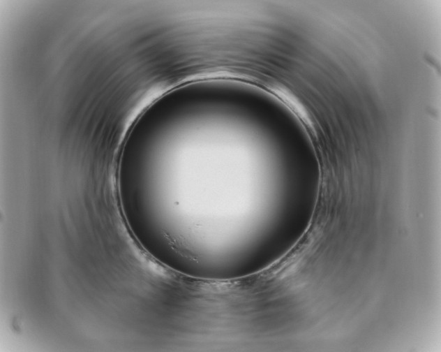 X0000095900813200802011127