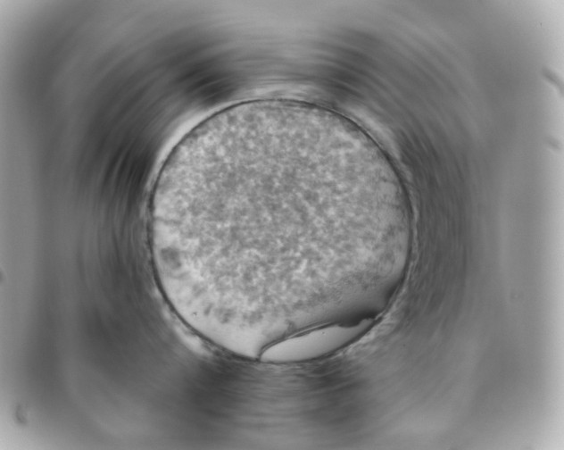 X0000095900816200802011127