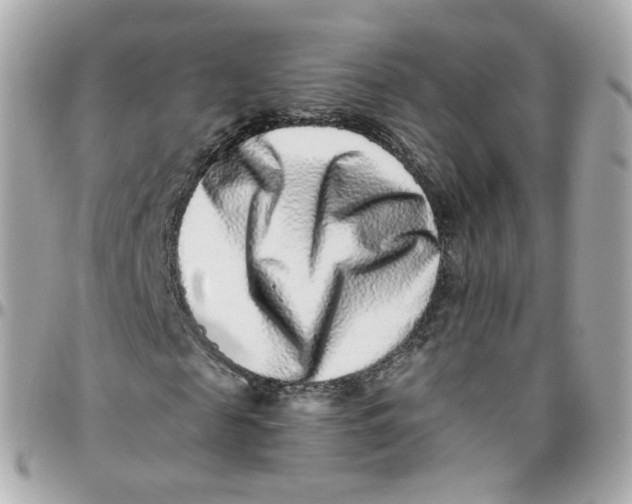 X0000095900817200802011126