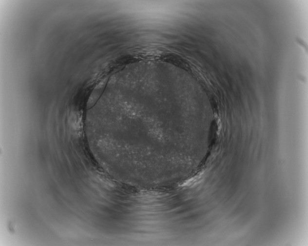 X0000095900818200802011126