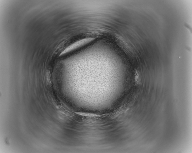 X0000095900819200802011126