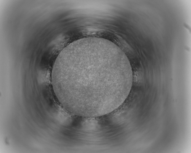 X0000095900820200802011126