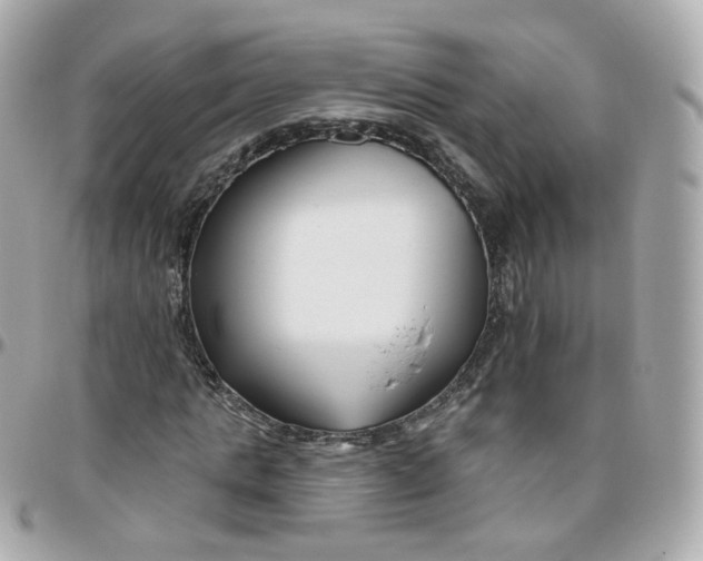 X0000095900821200802011126