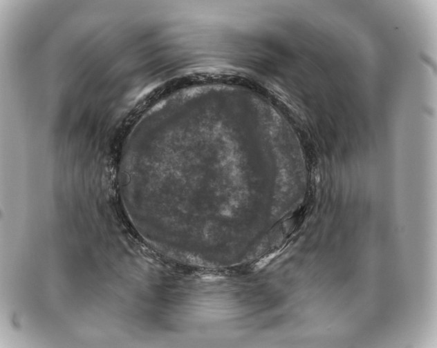 X0000095900822200802011126