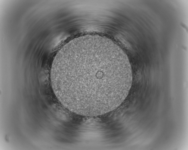 X0000095900824200802011126