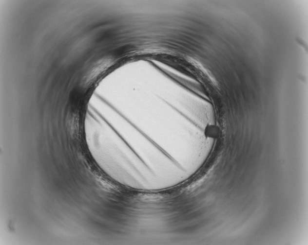 X0000095900825200802011126