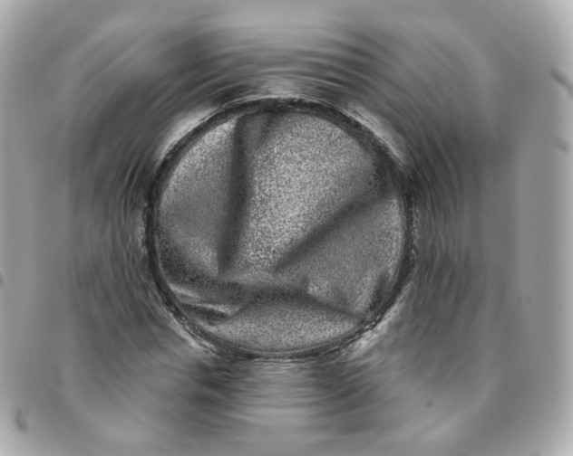 X0000095900826200802011126