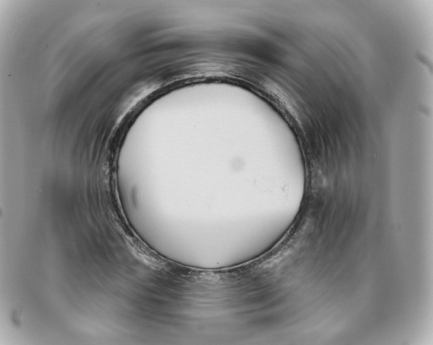 X0000095900827200802011126