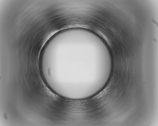 X0000095900828200802011126