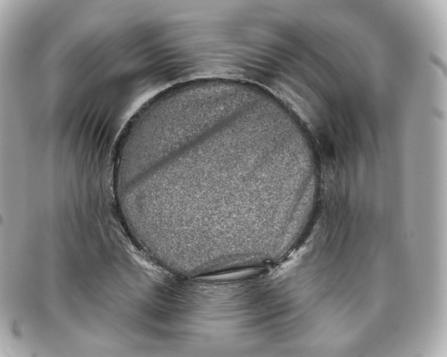 X0000095900830200802011126