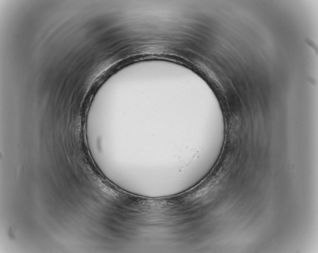 X0000095900831200802011126