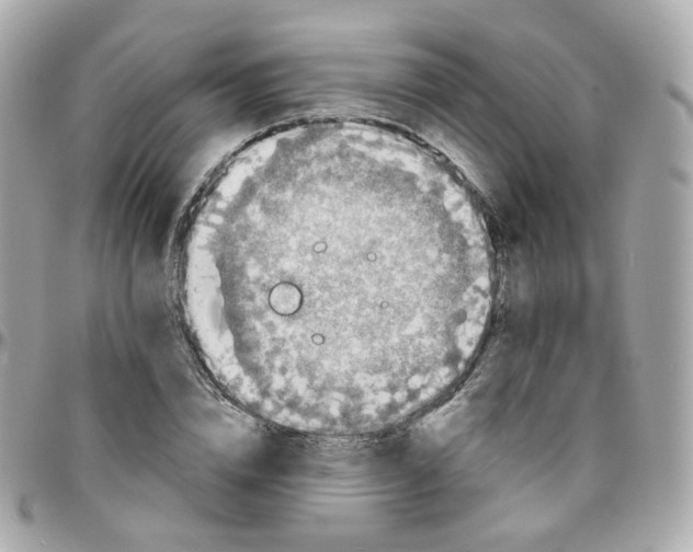 X0000095900832200802011126