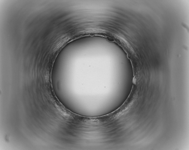 X0000095900833200802011126