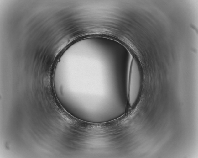 X0000095900834200802011126