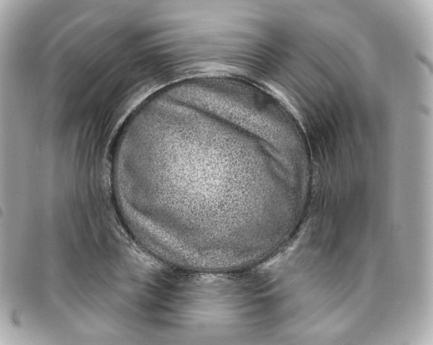 X0000095900835200802011126