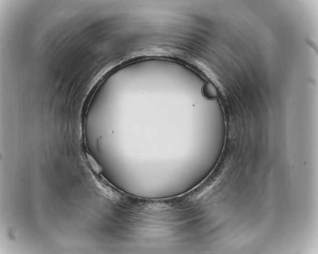 X0000095900837200802011126