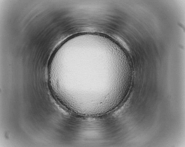 X0000095900839200802011126