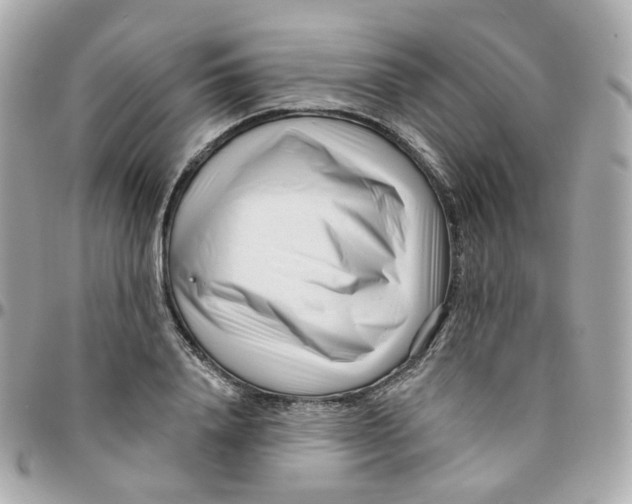 X0000095900840200802011126