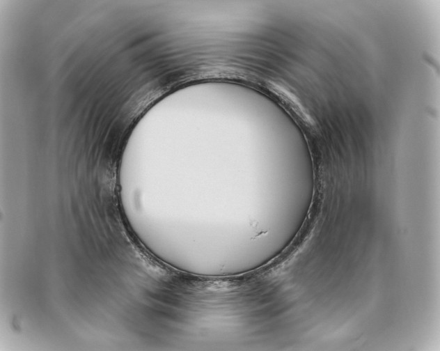 X0000095900841200802011126